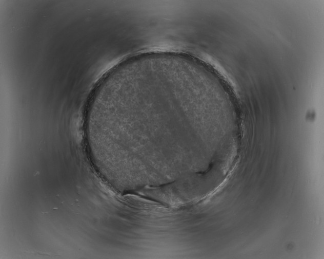 X0000093721213200711060929