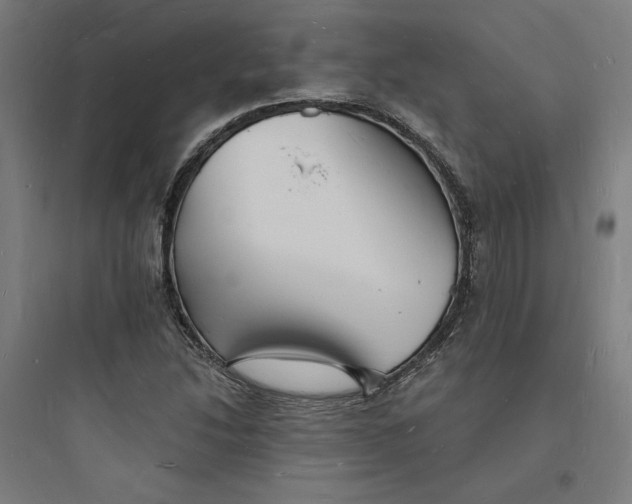 X0000093721214200711060929