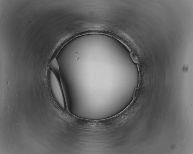 X0000093721218200711060929