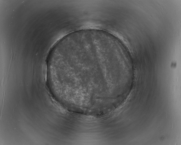 X0000093721219200711060929