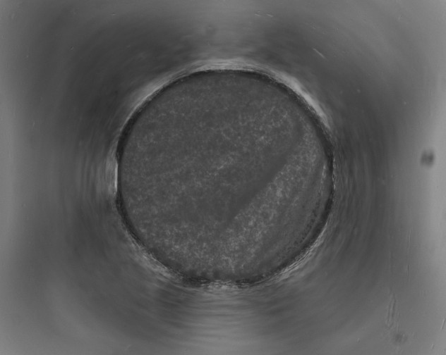 X0000093721221200711060929