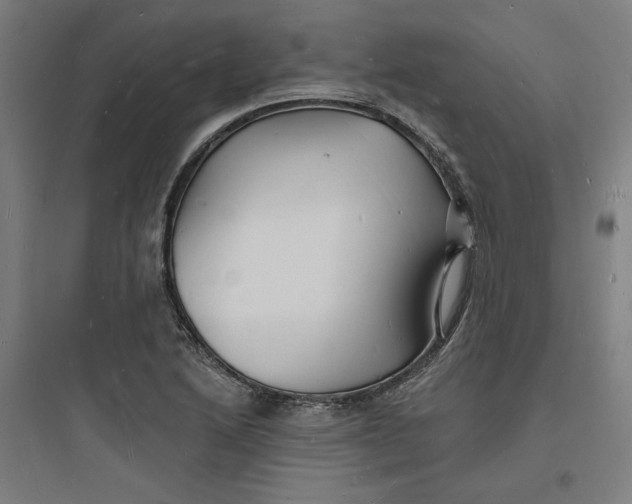 X0000093721222200711060929