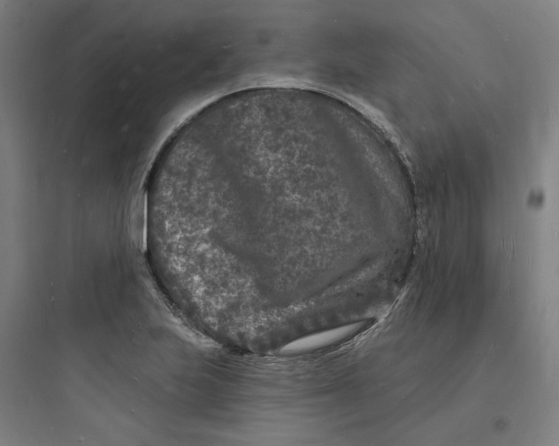 X0000093721223200711060929