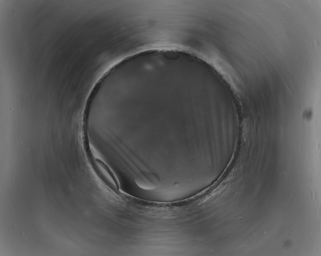 X0000093721229200711060930