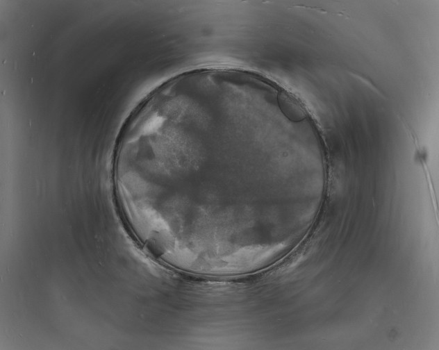 X0000093721231200711060930