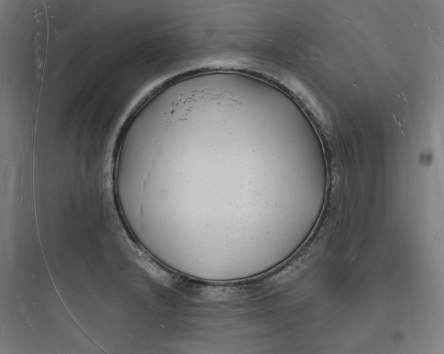 X0000093721232200711060930