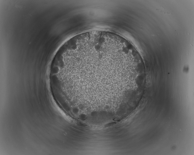 X0000093721235200711060930