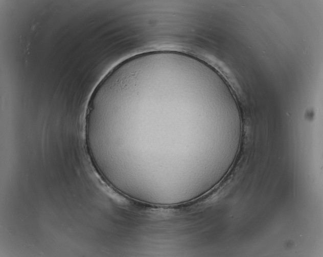 X0000093721236200711060930