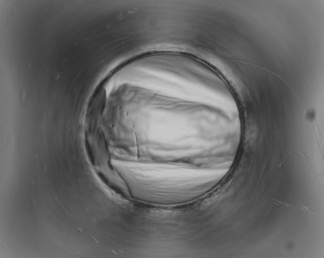 X0000093721237200711060930