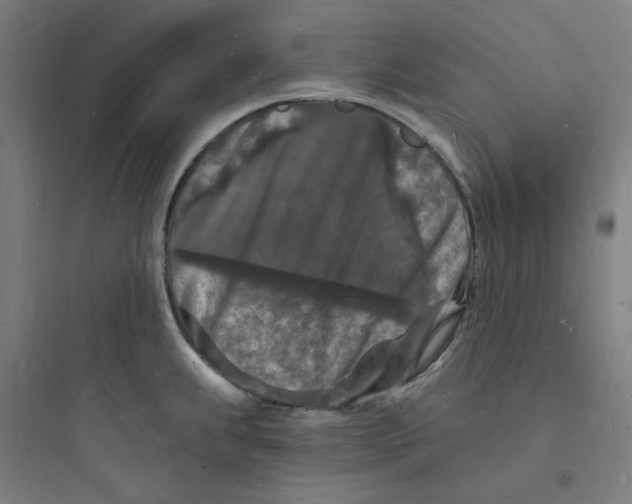 X0000093721239200711060930