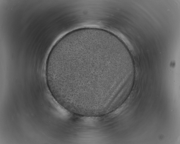 X0000093721240200711060930