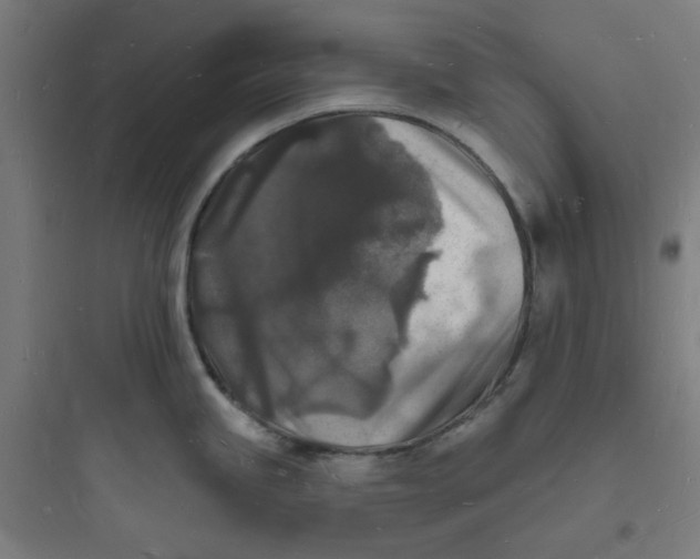 X0000093721245200711060930