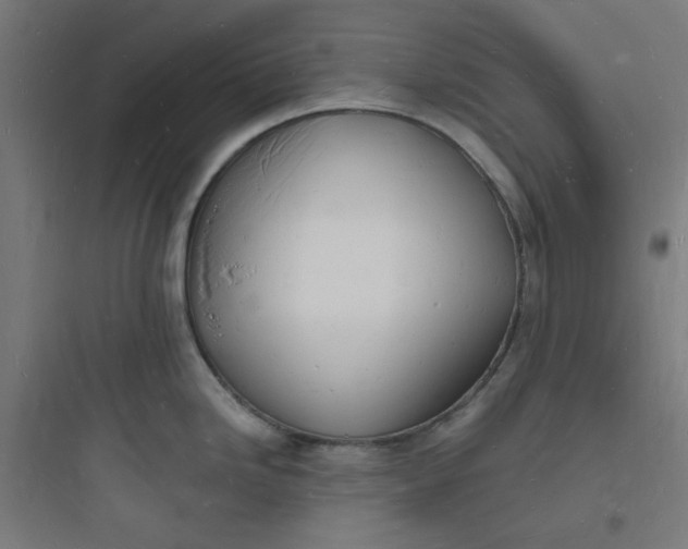 X0000093721246200711060930