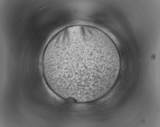 X0000093721247200711060930