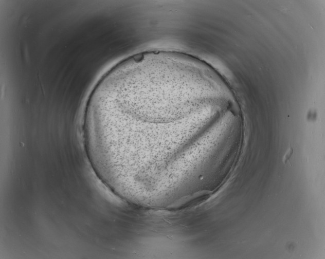 X0000093721248200711060930