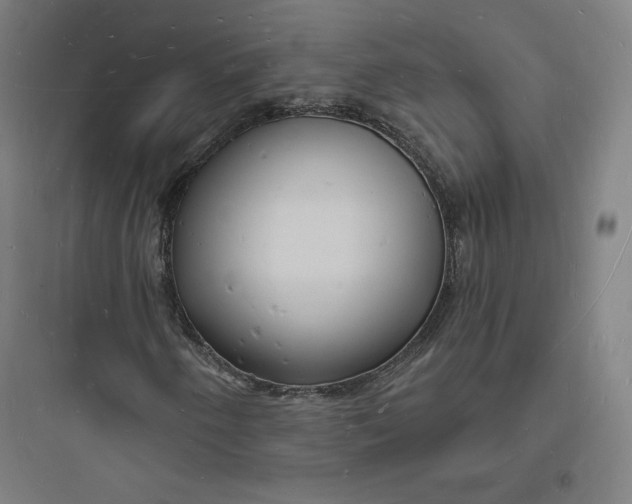 X0000093721250200711060929