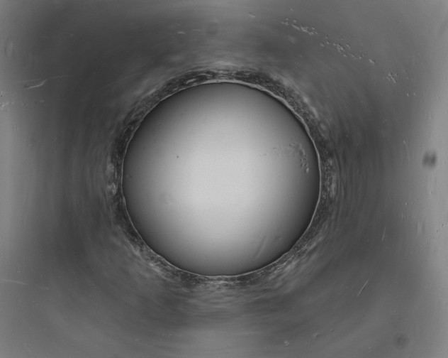 X0000093721253200711060929