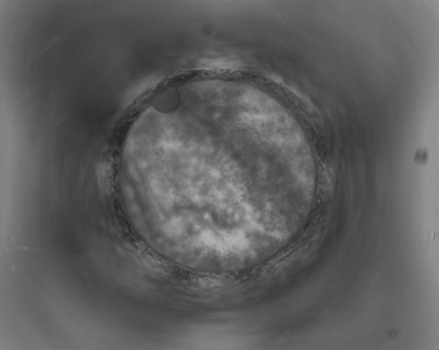 X0000093721254200711060929