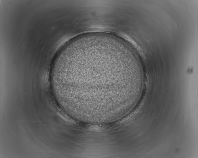 X0000093721259200711060929