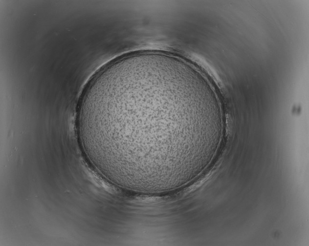 X0000093721260200711060929