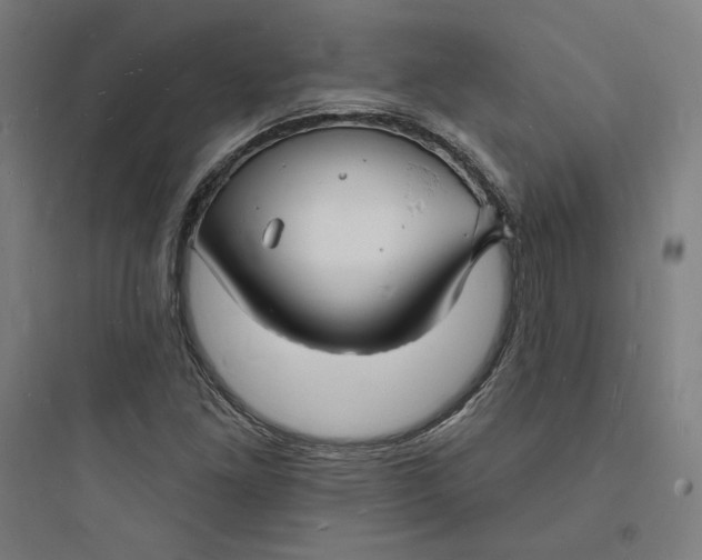 X0000093721261200711060929