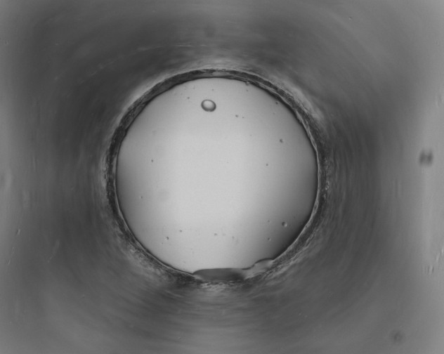 X0000093721264200711060929