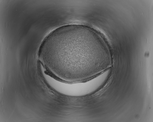 X0000093721267200711060929