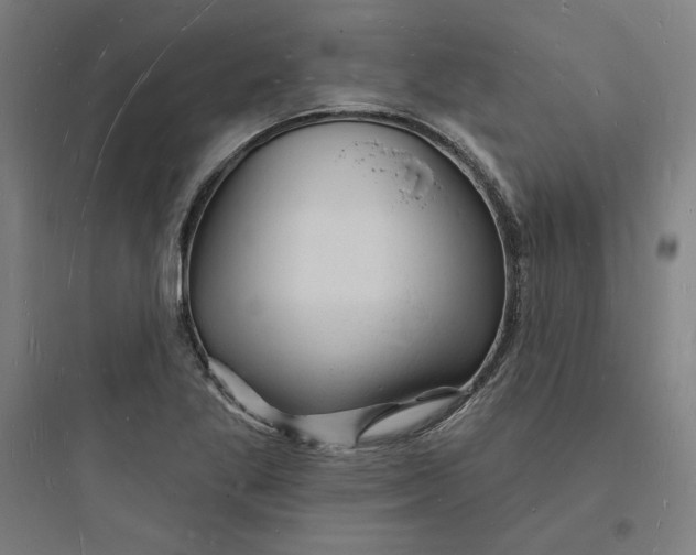 X0000093721269200711060929