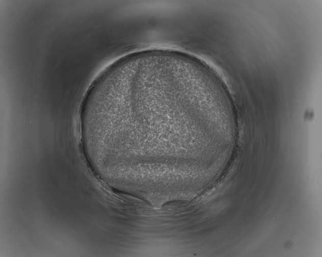 X0000093721271200711060929