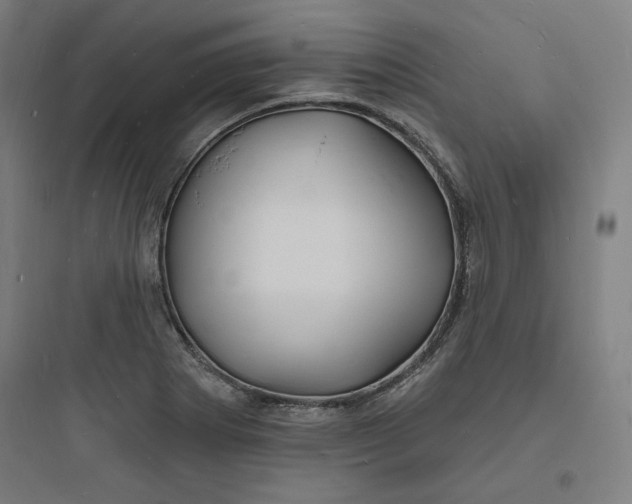 X0000093721273200711060929