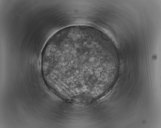 X0000093721275200711060929