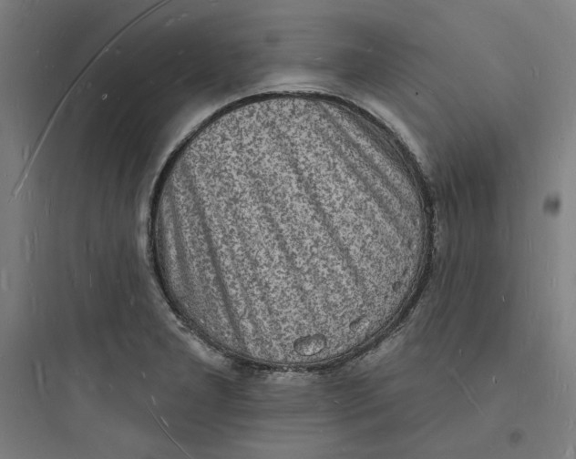 X0000093721277200711060929