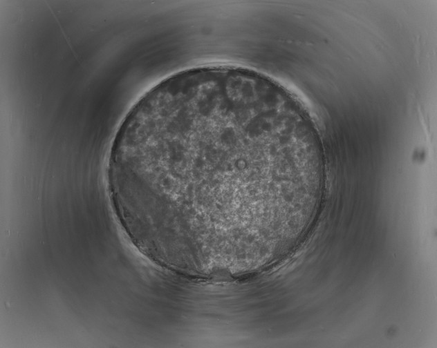 X0000093721279200711060929