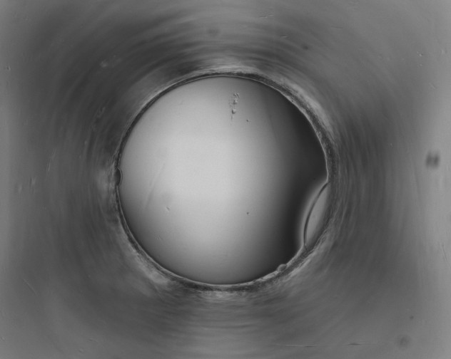 X0000093721281200711060929