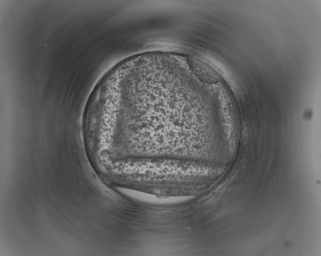 X0000093721283200711060929