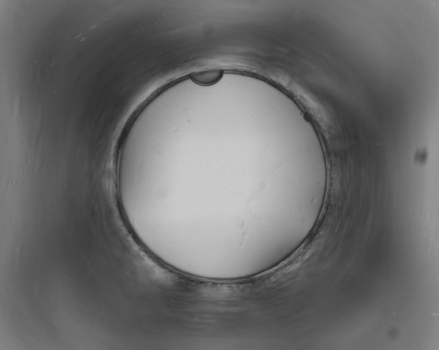 X0000093721286200711060929