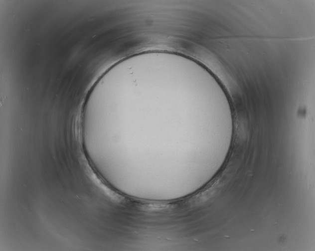 X0000093721290200711060928