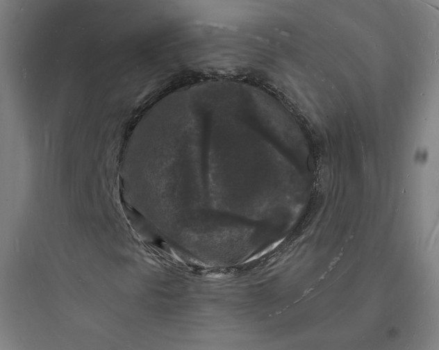 X0000093721297200711060927