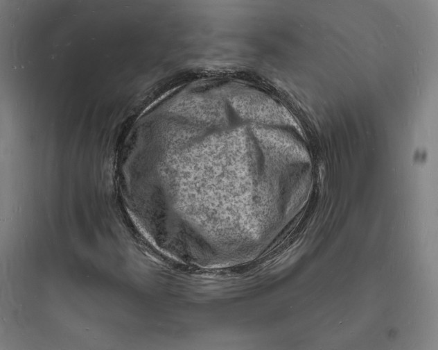 X0000093721300200711060927
