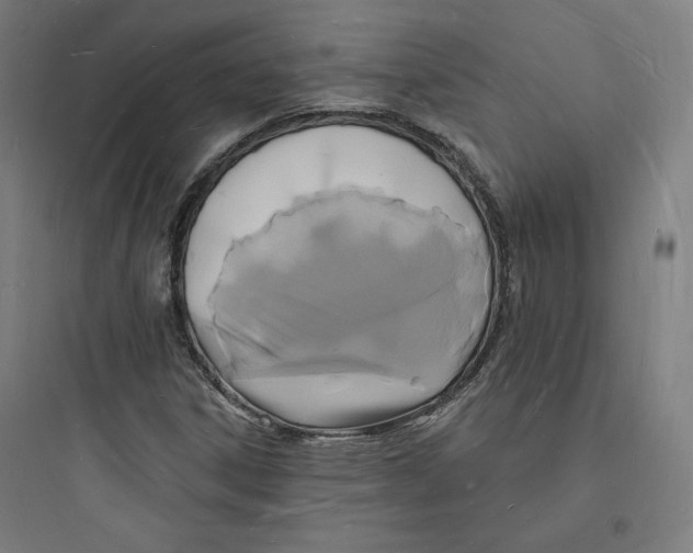 X0000093721306200711060928