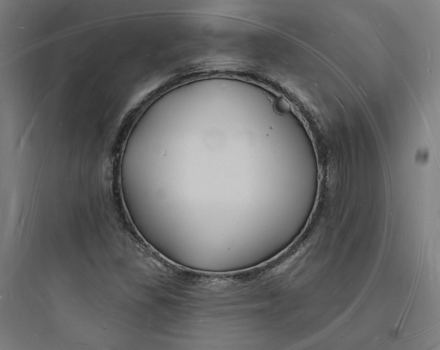 X0000093721309200711060928
