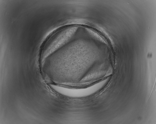 X0000093721312200711060928