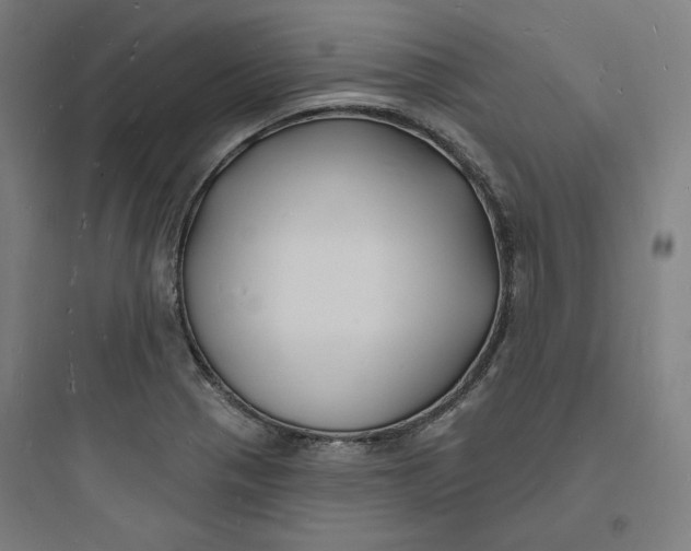X0000093721321200711060928