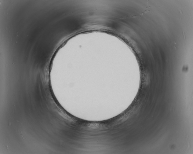 X0000093721322200711060928