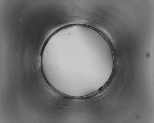 X0000093721324200711060928