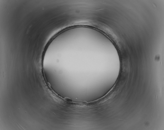 X0000093721328200711060928