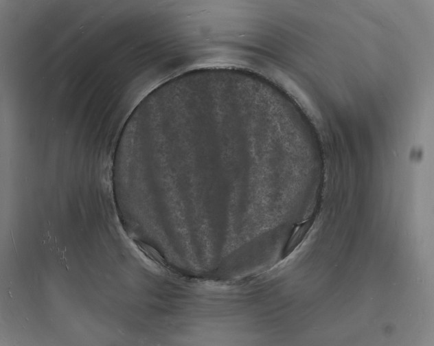 X0000093721329200711060928