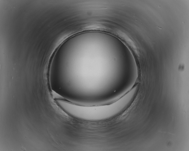 X0000093721330200711060928