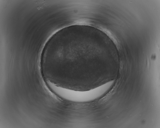 X0000093721331200711060928