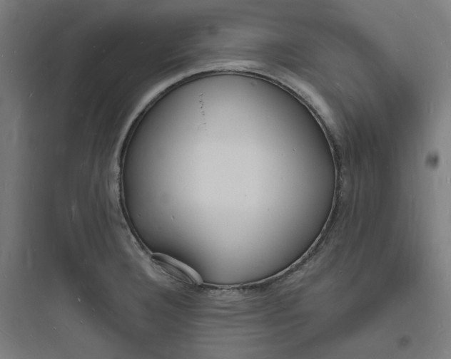 X0000093721332200711060928